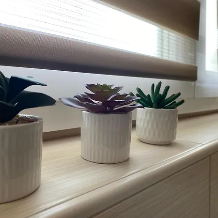 Apartment Lucia Punat